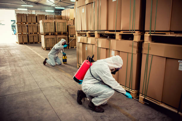 Flea Control Services in Foley, AL