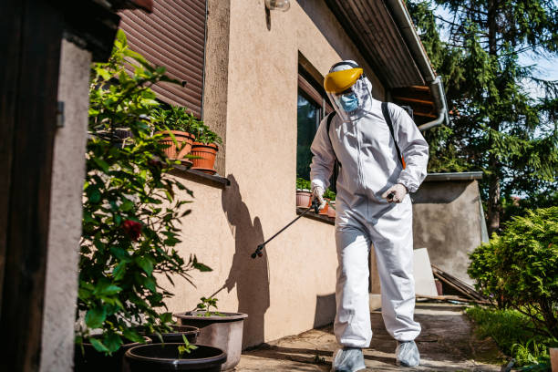 Best Pest Prevention Services  in Foley, AL