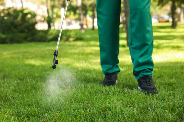 Best Mosquito Control Services  in Foley, AL