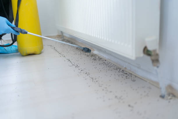 Best Best Pest Control Companies  in Foley, AL
