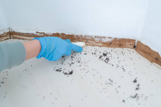 Best Commercial Pest Control Services  in Foley, AL